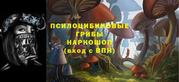 тгк Богданович